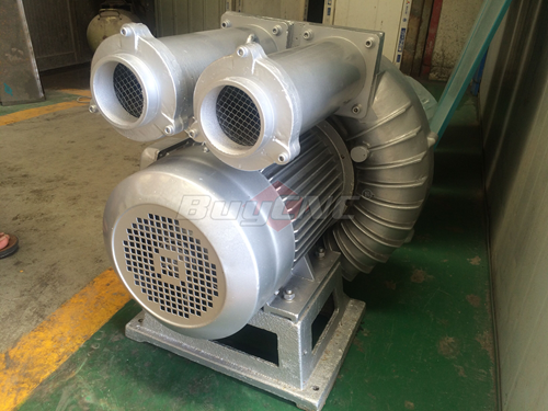 Rotary Vane Vacuum Pump